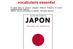 Guide de survie Japon : vocabulaire essentiel