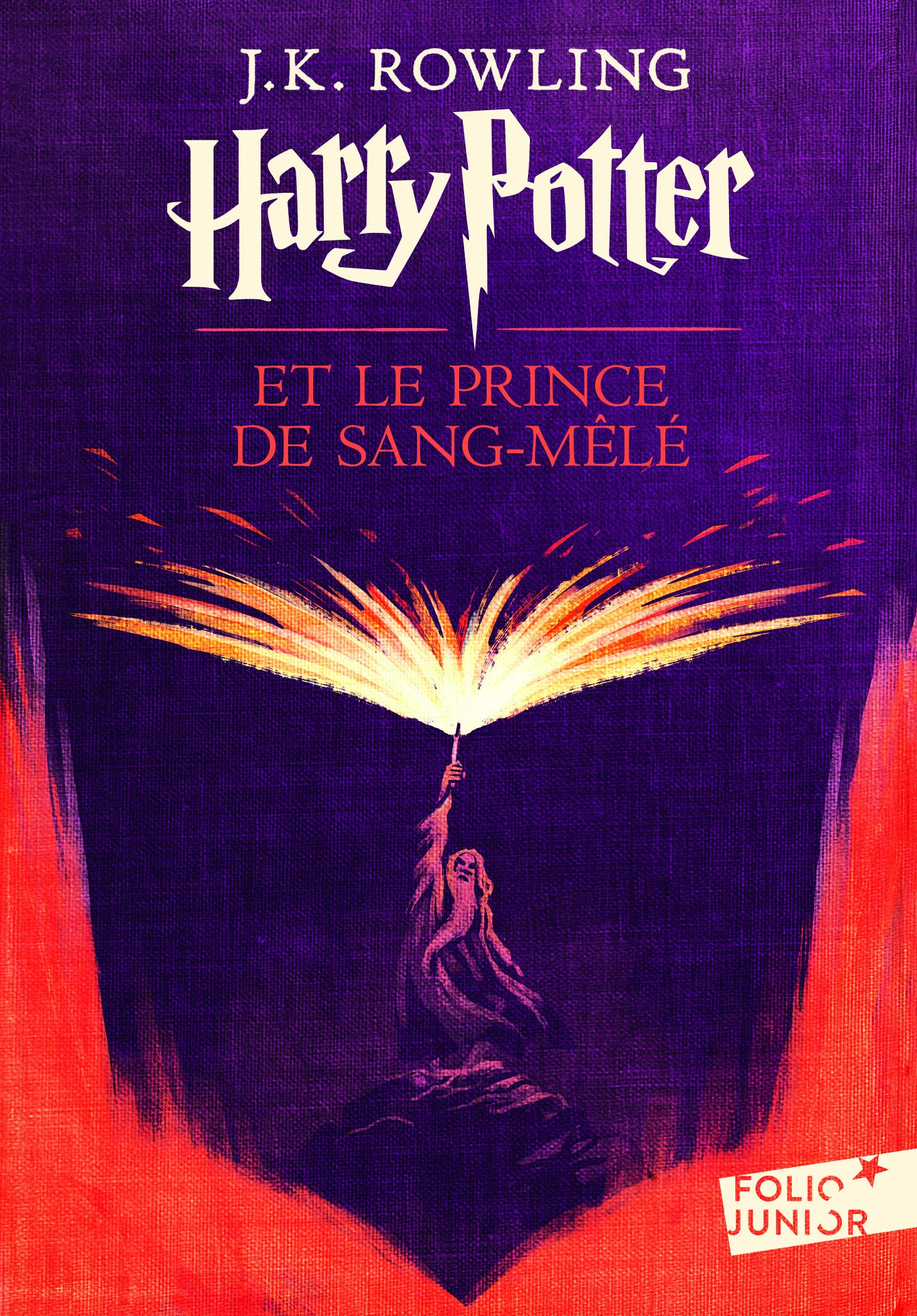 Harry Potter, VI : Harry Potter et le Prince de Sang-Mêlé