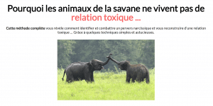 PN-Libération : Pervers Narcissiques et Relations toxiques