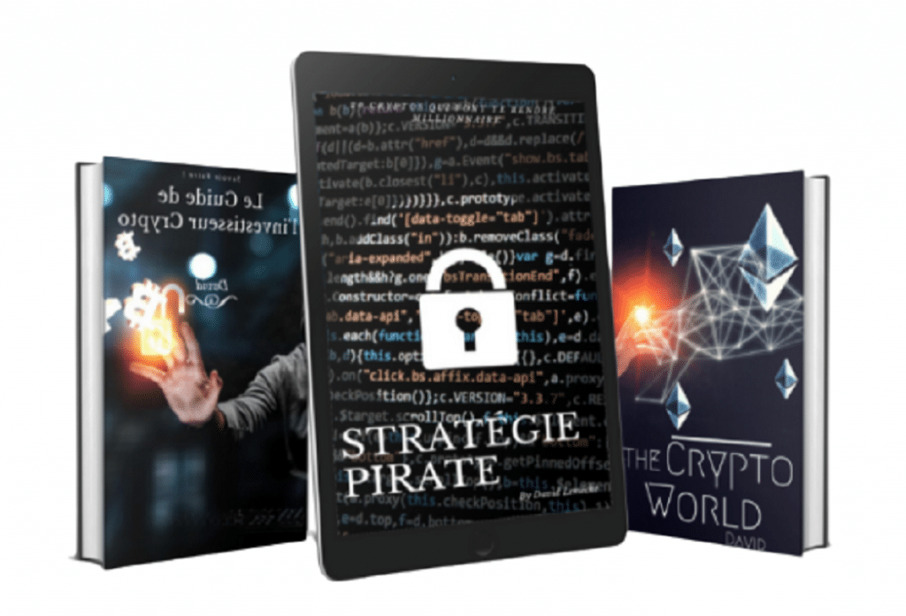 Programme - Stratégie Pirate