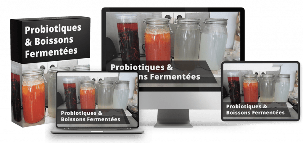 Probiotiques et Boissons Fermentées