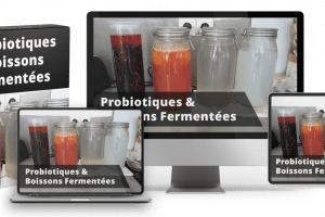 Probiotiques et Boissons Fermentées