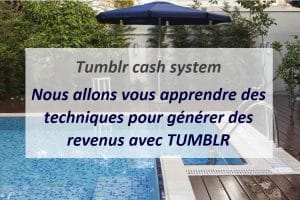 Tumblr cash system. Nous allons vous apprendre des techniques pour générer des revenus avec TUMBLR